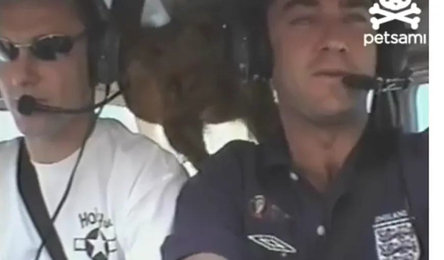Câinele care sfidează gravitaţia: Cum pluteşte un căţel într-un avion VIDEO