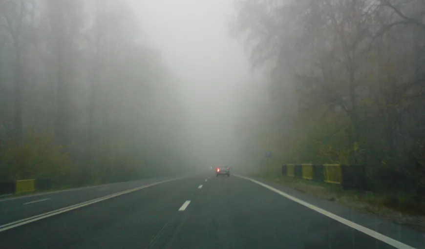 COD GALBEN de ceaţă în Dobrogea