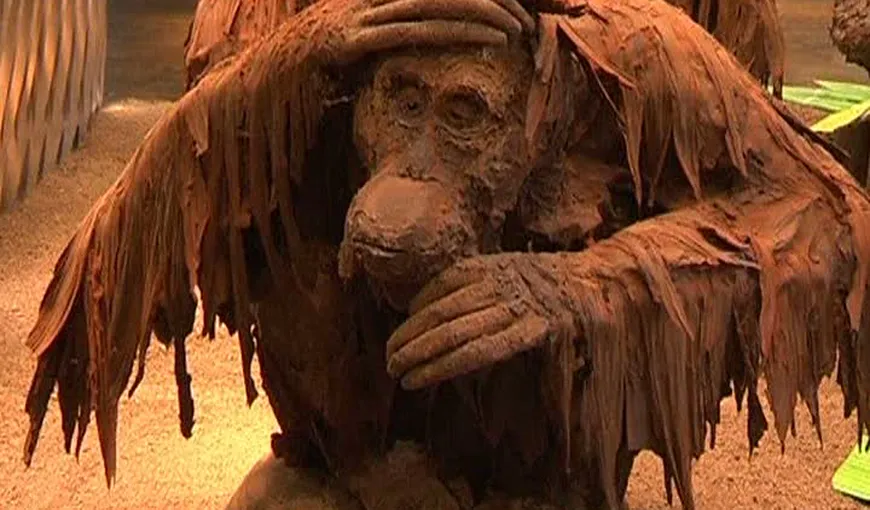 O sculptură dulce: Un ciocolatier a realizat un copac imens cu maimuţe VIDEO