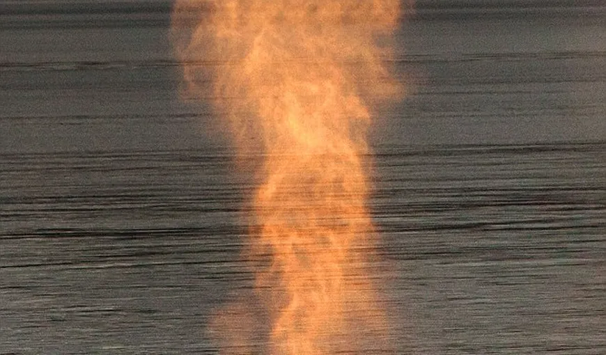 Fotografia zilei: Balena care scuipă foc