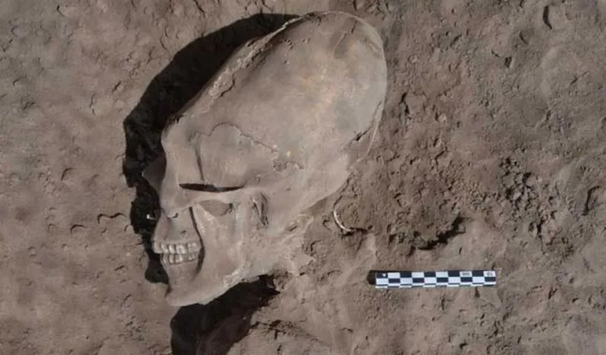 Craniul unui „extraterestru”, descoperit într-un cimitir din Mexic FOTO
