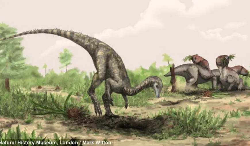 Cum arăta primul dinozaur: Cântărea cât un câine de talie mare şi avea o coadă gigantică FOTO
