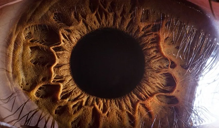 Fotografii uimitoare ale irisului ochiului, văzut de aproape