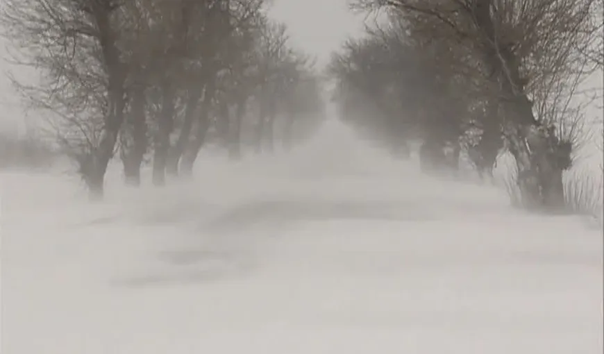 România, îngropată sub zăpadă. Trenuri ANULATE şi drumuri BLOCATE, şcoli închise VIDEO