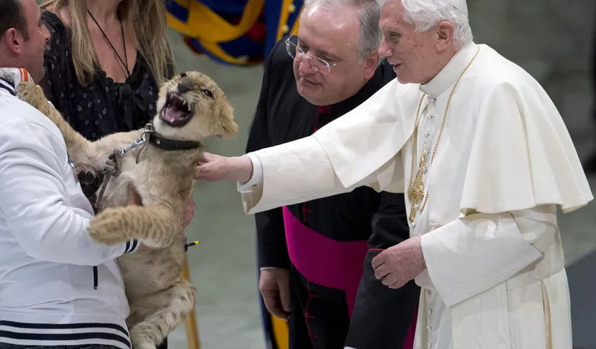 Fotografia zilei: Un pui de leu, înspăimântat de Papa Benedict XVI