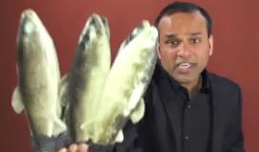 „Peşte de o liră”, pakistanezul vedetă sau noul „Psy” din Marea Britanie, a fost expulzat VIDEO