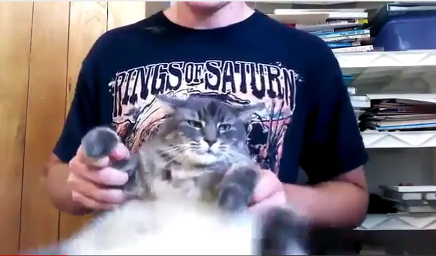 Pisica-rockeriţă face senzaţie pe internet. Vezi cum bate la tobe VIDEO