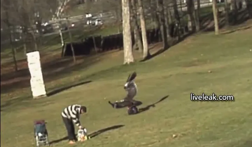 INCREDIBIL: Un copil de doi ani, luat pe sus de un vultur, într-un parc din Montreal VIDEO