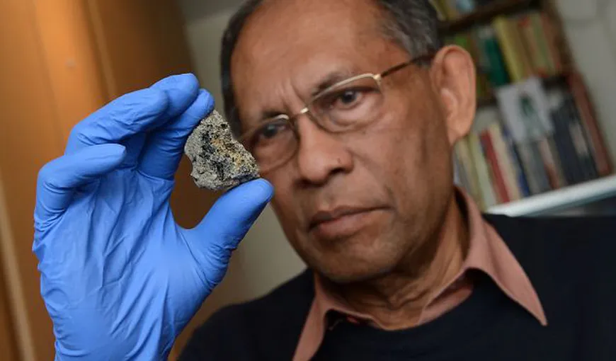 Dovada că există viaţă în spaţiu: O fosilă extraterestră, descoperită într-un meteorit
