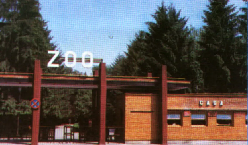Grădina Zoologică Băneasa va fi de zece ori mai mare şi se va transforma în BioParc Zoo