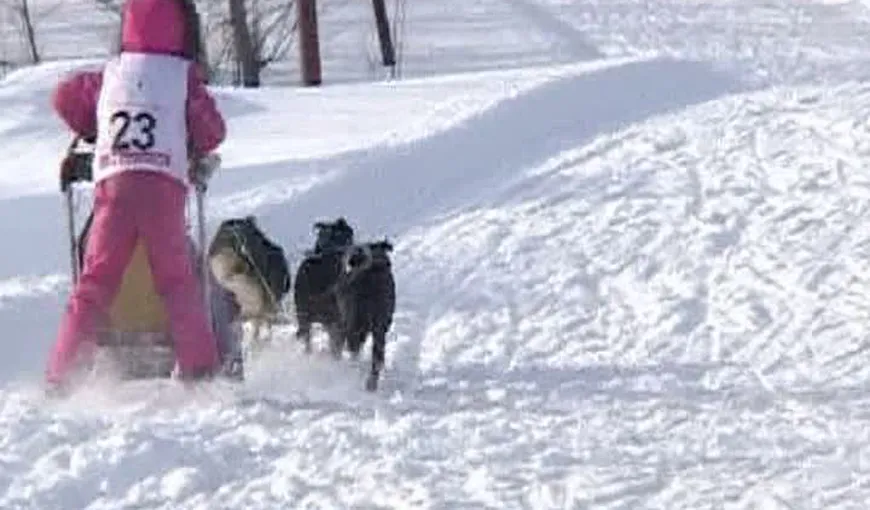 Distracţie în zăpadă: Concurs de sănii trase de câini, în Rusia VIDEO