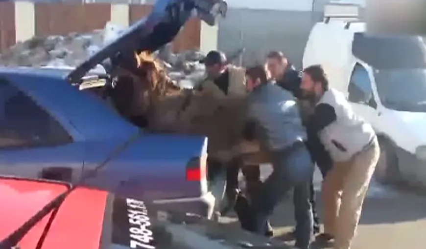 Doar în România: Patru bărbaţi au îndesat un măgar în portbagajul unei maşini VIDEO