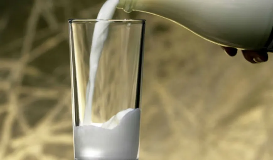 Laptele de NOBEL: Naţiunile consumatoare de lactate dau cei mai mulţi laureaţi ai distinsului premiu
