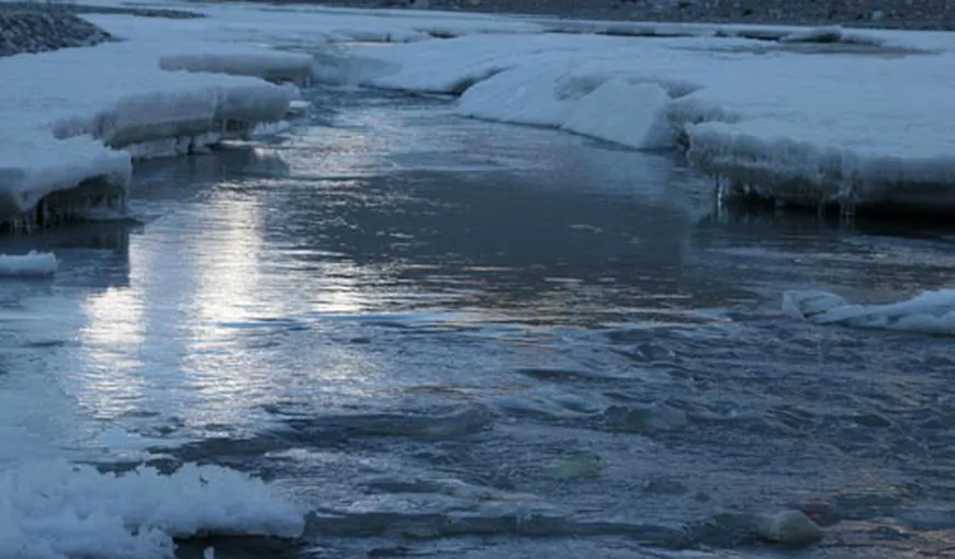 Un câine rămas pe o bucată de gheaţă în albia râului Ialomiţa, salvat de pompieri