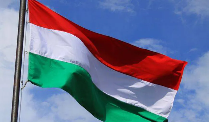 Steagurile Ungariei, interzise pe primăriile din Harghita