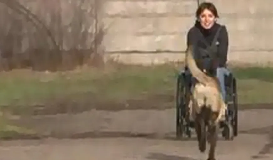 EMOŢIONANT: Un câine a fost dresat să ajute o tânără blocată într-un scaun cu rotile VIDEO