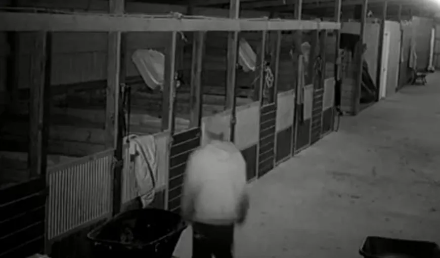 Zoofilul care a făcut o pasiune pentru sexul cu ponei, surprins de o cameră de supraveghere VIDEO