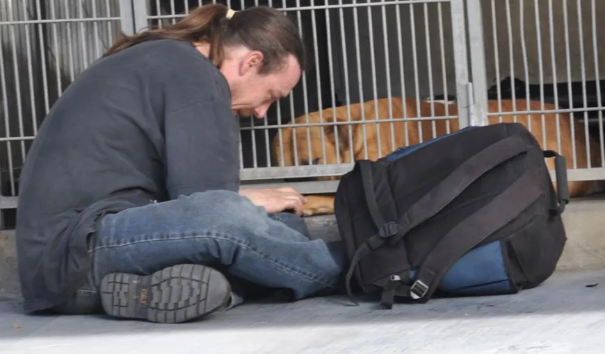 O fotografie emoţionantă a ajutat un bărbat să îşi recupereze câinele de la adăpost FOTO