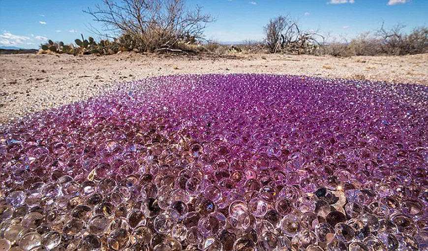 Fenomen bizar în Arizona: Sfere mov misterioase, apărute în mijlocul deşertului FOTO şi VIDEO