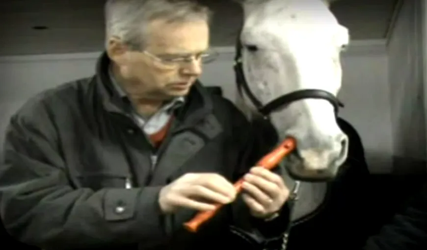 Un cal cântă la fluier cu nasul VIDEO