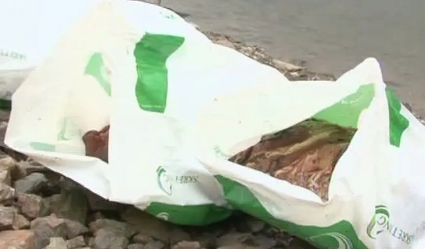 Carnea aruncată pe malul lacului Tarniţa din Cluj este de cal