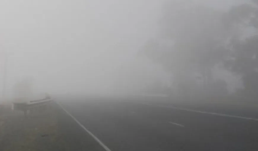 COD GALBEN de ceaţă în Moldova, Maramureş şi Transilvania
