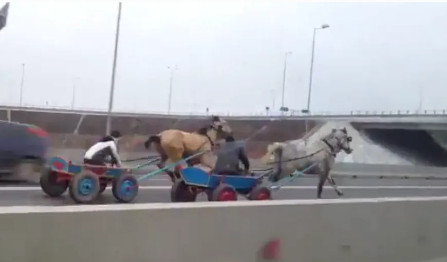 Se întâmplă în România: Cursă cu căruţe trase de cai pe… Autostrada Soarelui VIDEO