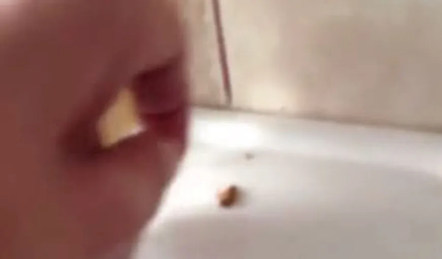 Imagini de groază: Copii trataţi printre gândaci, la Spitalul de Pediatrie din Ploieşti VIDEO