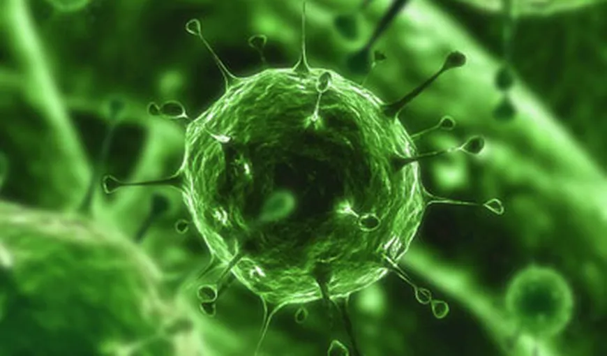 PREMIERĂ MEDICALĂ: Virus modificat genetic, folosit contra cancerului hepatic