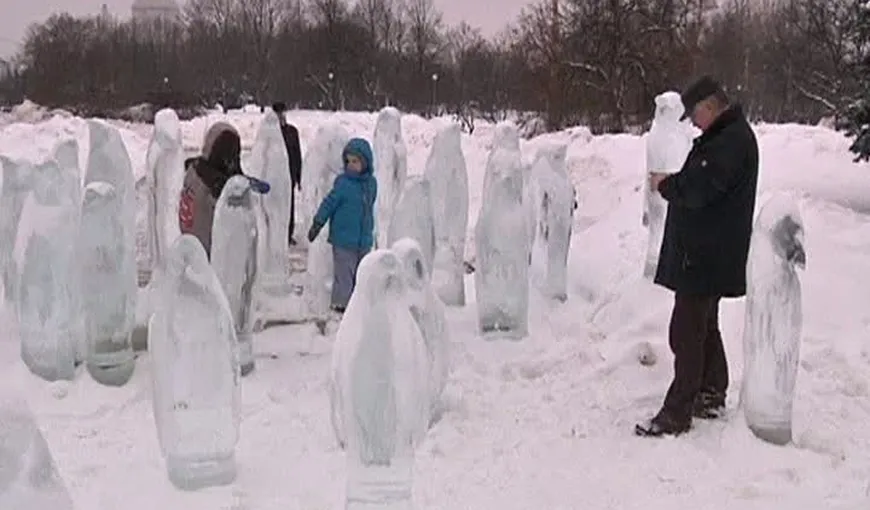 Peste 50 de pinguini de gheaţă au apărut, peste noapte, într-o piaţă din Moscova VIDEO