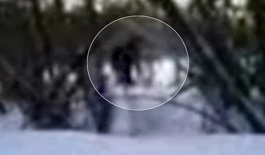 Yeti, filmat în Siberia: Un elev de 11 ani s-a întâlnit cu monstrul zăpezilor în pădure VIDEO