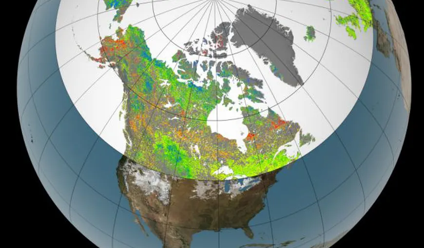 Zonele polare devin mai verzi: Cum se schimbă anotimpurile din cauza încălzirii globale FOTO