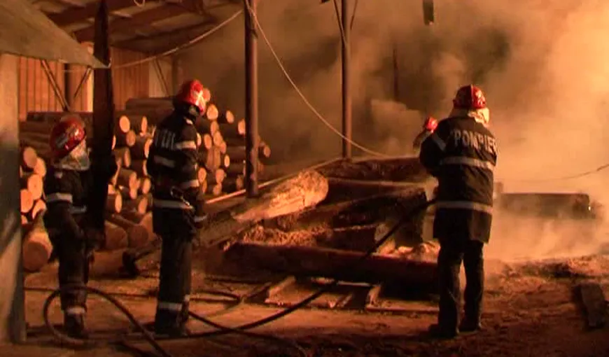 Incendiu devastatator la Timişoara. Un depozit de lemne s-a făcut scrum VIDEO