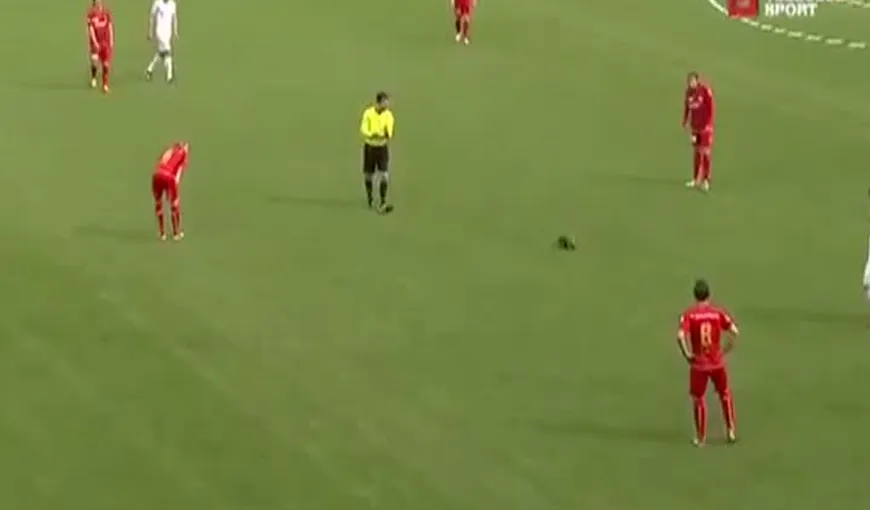 Meci de fotbal din Elveţia întrerupt de un… JDER – VIDEO