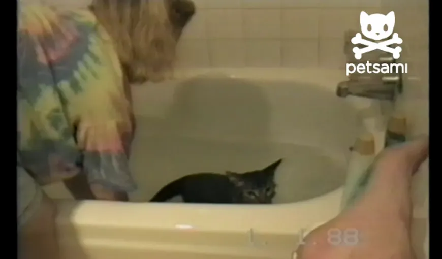 Răzbunarea pisicii: Ce i se întâmplă unei femei care spală o mâţă VIDEO