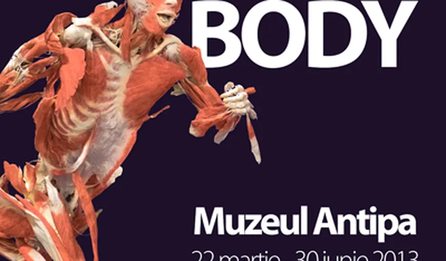 Expoziţia „The Human Body”, în România: Corpuri umane reale, prezentate la Muzeul Antipa
