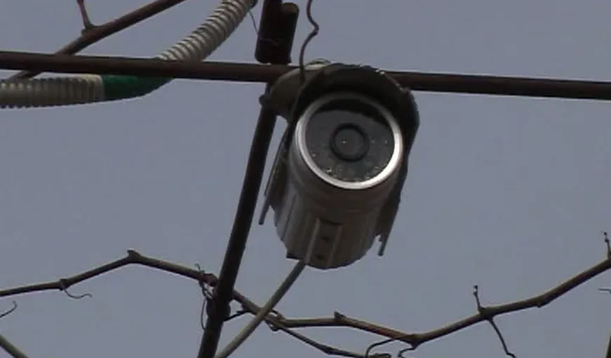 Un sat din Buzău, terorizat de hoţi. Oamenii şi-au montat camere video în ograda cu animale