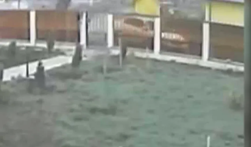 La un pas de TRAGEDIE. O şoferiţă vitezomană a distrus gardul unei vile VIDEO