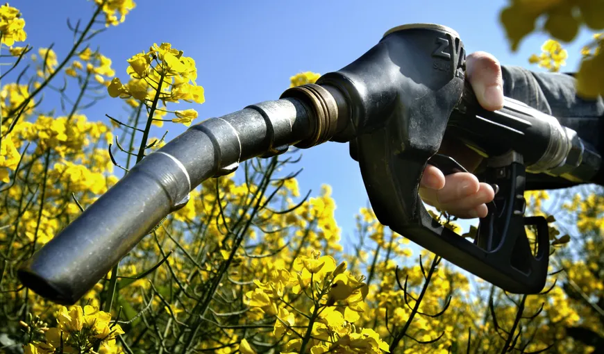 Studiu: Politica Uniunii Europene în domeniul biocarburanţilor ne costă 10 miliarde de euro anual