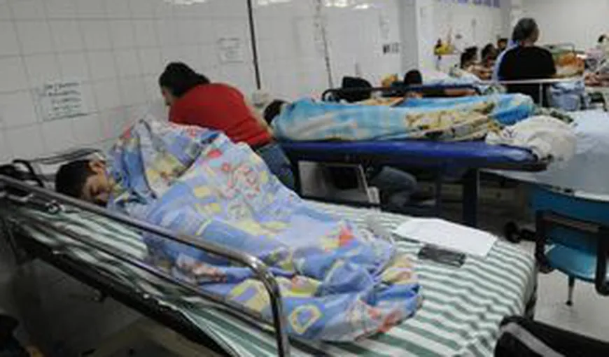 Epidemie de febră dengue în Paraguay: 48 de morţi şi 70.000 de cazuri de îmbolnăvire