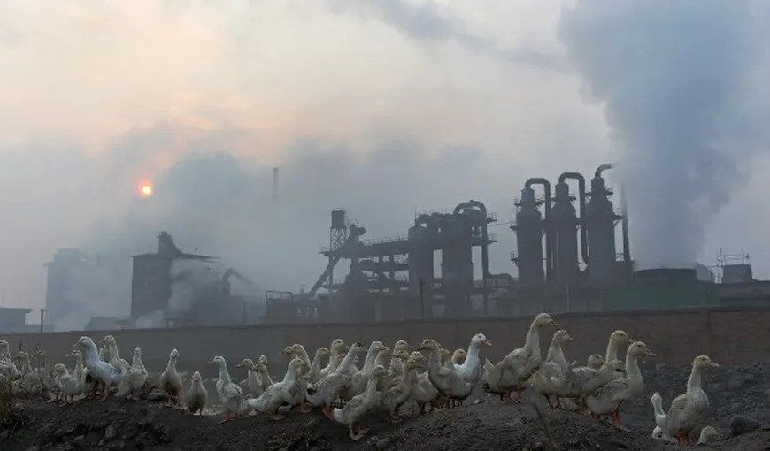 Greenpeace: China este grav poluată de producţia sa de îngrăşăminte FOTO