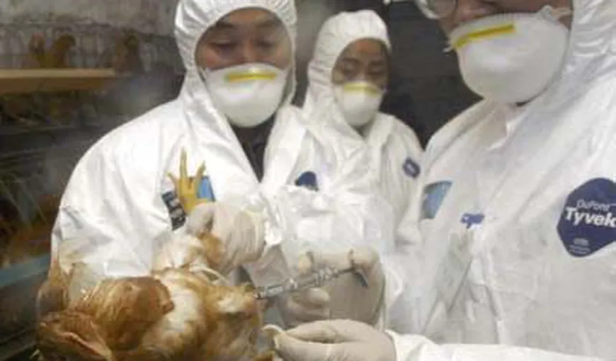 Două noi cazuri de infecţie cu virusul gripei aviare au fost înregistrate în China