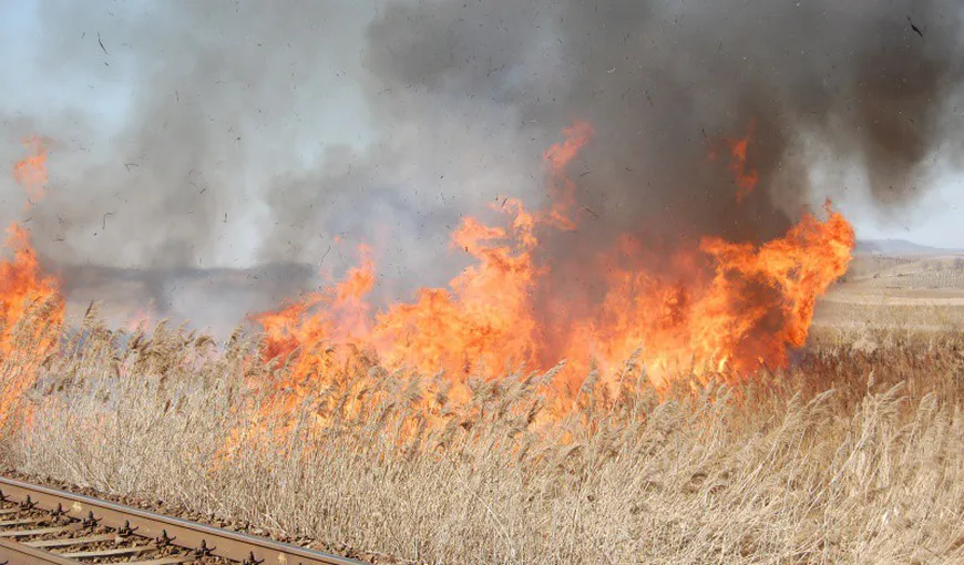 O femeie de 77 de ani A MURIT ARSĂ într-un incendiu de vegetaţie uscată