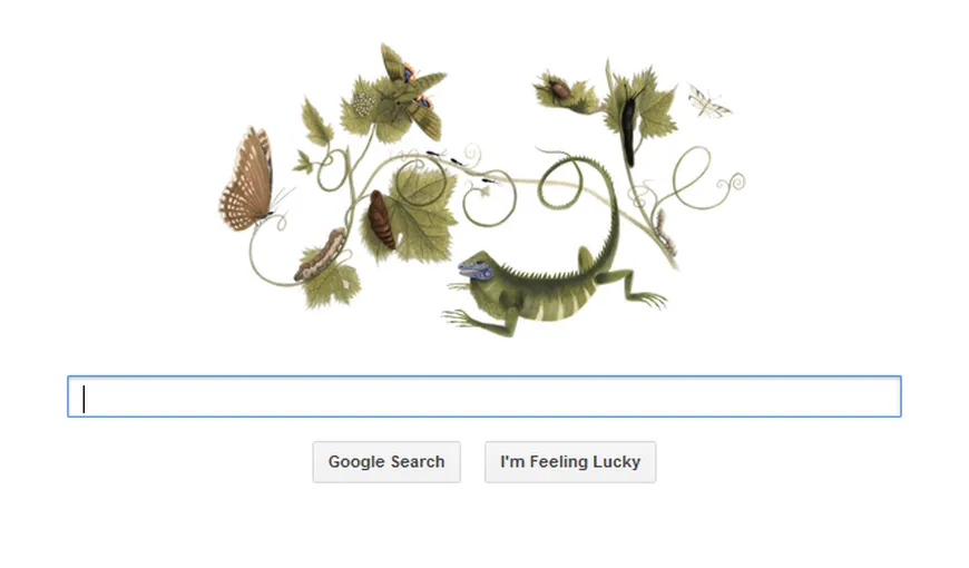 Naturalista Maria Sibylla Merian, sărbătorită de Google printr-un logo special