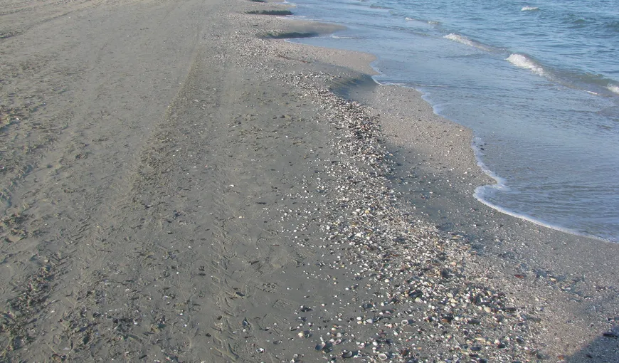 Un bărbat a fost găsit mort pe o plajă din Mamaia de un cuplu care se plimba pe malul mării