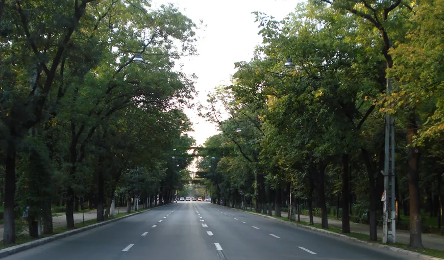 Trafic restricţionat în Capitală, sâmbătă, pe traseul Romexpo – şos. Kiseleff – Piaţa Constituţiei
