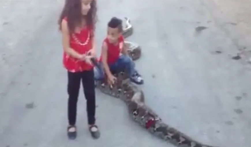 Doi copii au ieşit cu… şarpele la plimbare VIDEO