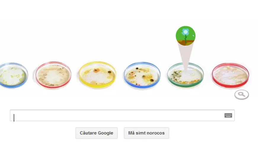 Bacteriologul Julius Richard Petri, sărbătorit de Google printr-un logo special