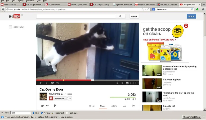 Pisica-păianjen. Cum deschide uşa o felină inteligentă VIDEO