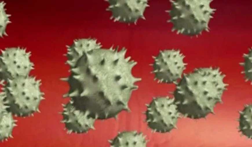 Coronavirus: OMS cere francezilor să rămână calmi